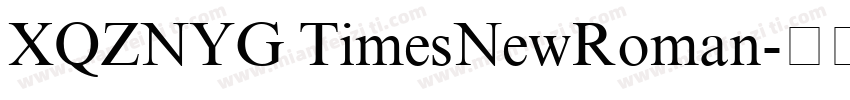 XQZNYG TimesNewRoman字体转换